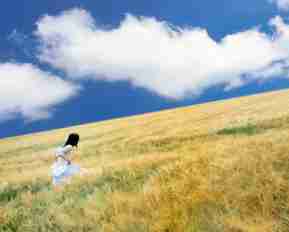 最​新﻿C语​言‍方﻿案﻿